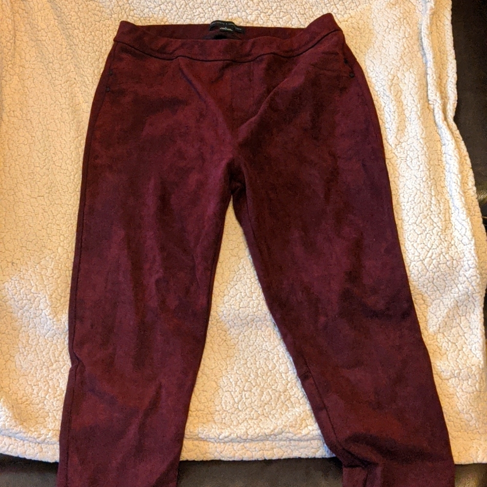 Sanctuary by Anthropologie pants/leggings